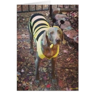 Weimaranerの《昆虫》マルハナバチ