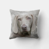 Weimaranerは直面します クッション (裏面)