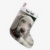 Weimaranerパーソナライズされた犬の写真と犬の名前 スモールクリスマスストッキング (正面 (吊り時))