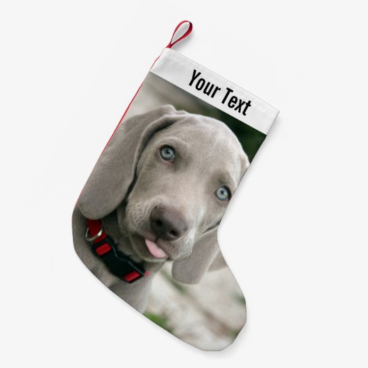 Weimaranerパーソナライズされた犬の写真と犬の名前 スモールクリスマスストッキング (正面 (吊り時))