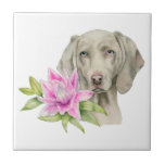 Weimaraner犬およびユリの水彩画の絵画 タイル<br><div class="desc">これはWeimaraner犬およびピンクユリの水彩画の絵画です。 Weimaranerは捜すことのために繁殖するのが常であった大きい犬です。 彼女に青い目が付いている美しい銀かマウス灰色のコートがあります。 これはダニエルスミスの水彩画のペンキが付いているアーチの熱い押された紙で手塗りでした</div>