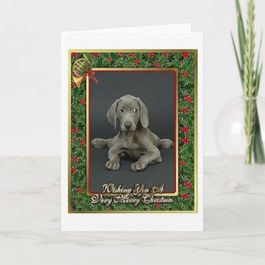 Weimaraner犬のブランクのクリスマスカード シーズンカード (正面)