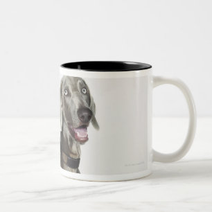 Weimaraner犬のポートレート ツートーンマグカップ