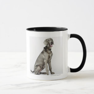 Weimaraner犬のポートレート マグカップ