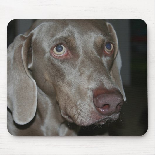 Weimaraner犬のマウスパッド マウスパッド (正面)