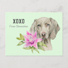 Weimaraner犬XOXO |のバレンタイン シーズンポストカード