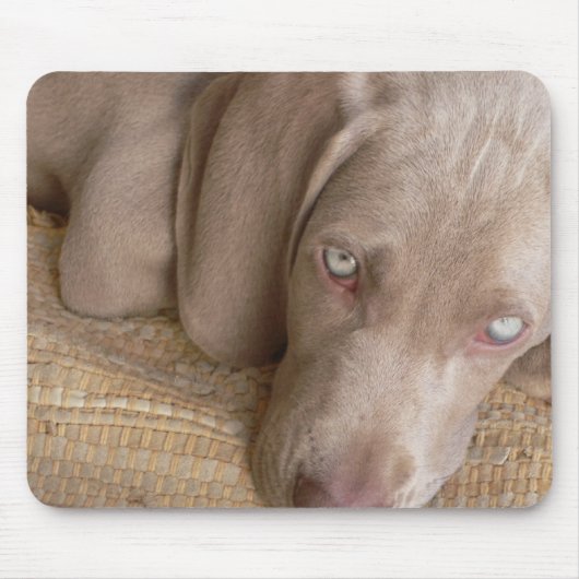 Weimaraner睡眠のマウスパッド マウスパッド (正面)