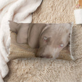 Weimaraner睡眠の枕 ランバークッション (ブランケット)