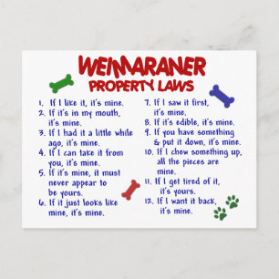 WEIMARANER財産法2 ポストカード