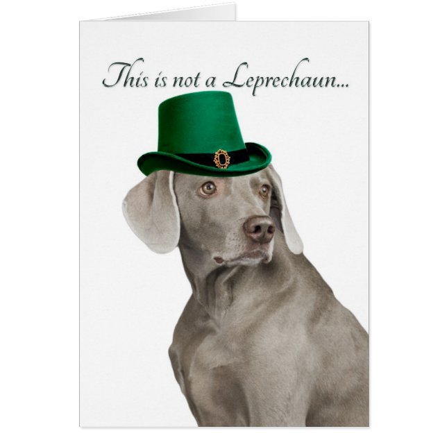 Weimaraner おもしろい Leprechaunカード (正面)