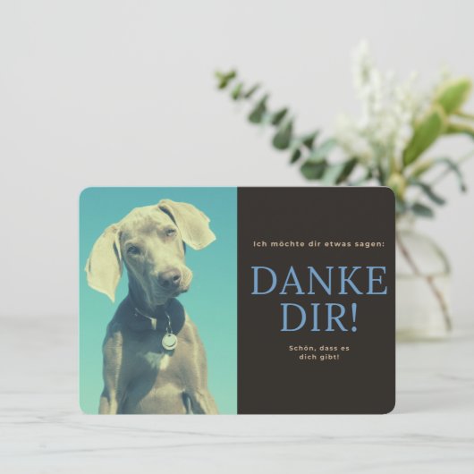 Weimaraner サンキューカード (スタンド正面)