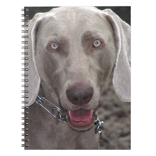 Weimaraner ノートブック (正面)