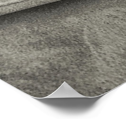 Weimaraner ポスター (角)