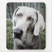 Weimaraner マウスパッド (正面)