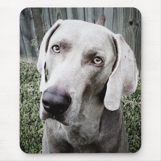 Weimaraner マウスパッド (正面)