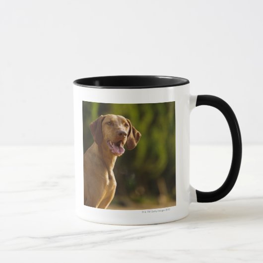 Weimaraner マグカップ (右)
