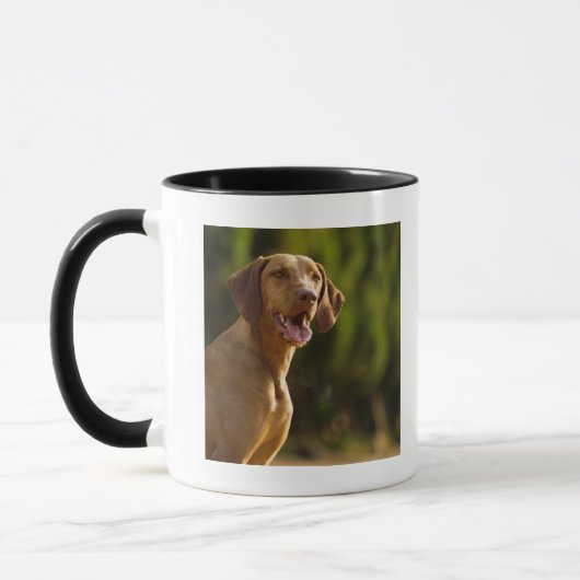 Weimaraner マグカップ (左)