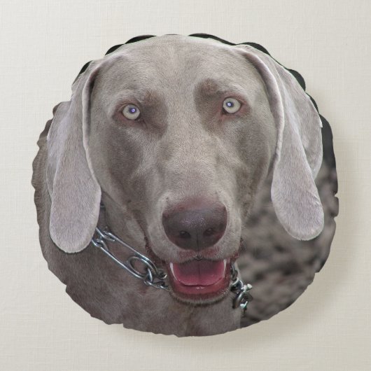 Weimaraner ラウンドクッション (正面)