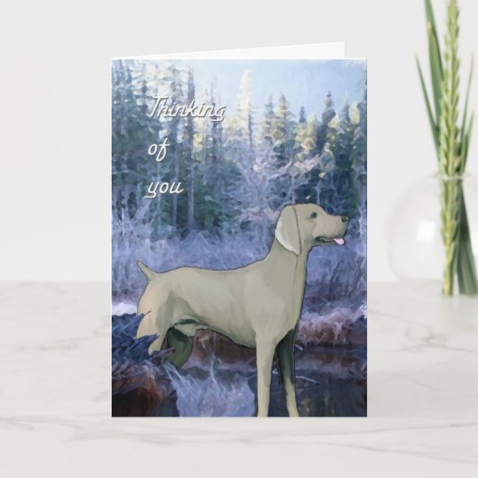 weimaraner_悔やみや弔慰_card カード (正面)