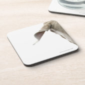 Weimaraner 2 コースター (左側)