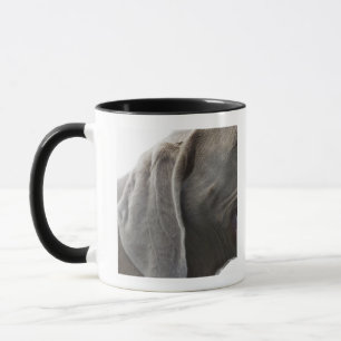Weimaraner 3 マグカップ