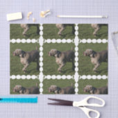 weimaraner-6 薄葉紙 (クラフト)