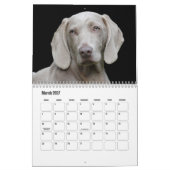 Weimaraner Calendar カレンダー (3月 2027)