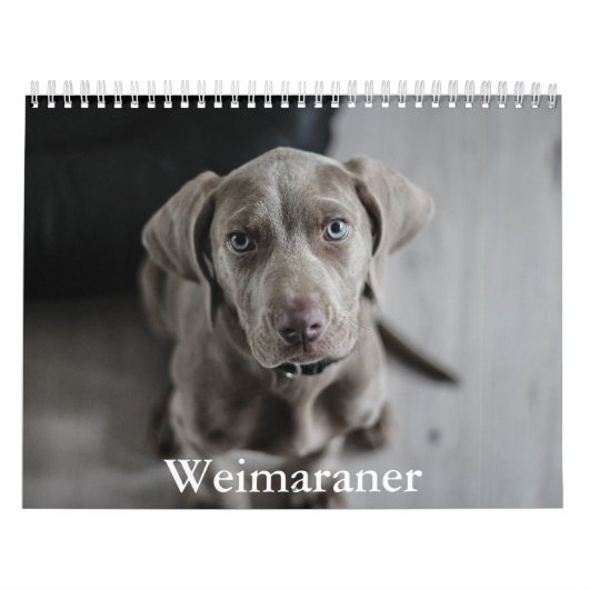 Weimaraner Calendar カレンダー (カバー)