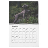 Weimaraner Calendar カレンダー (2月 2027)