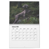 Weimaraner Calendar カレンダー (2月 2026)