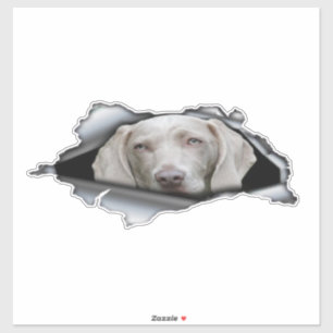 Weimaraner CarスタンプWeimaranerシール シール