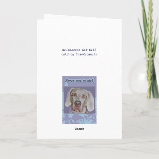 Weimaraner Get Well Card カード (裏面)