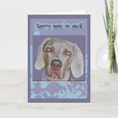 Weimaraner Get Well Card カード (正面)
