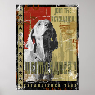 Weimaraner nation :ヴィンテージWeimaraner! ポスター