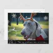 Weimaraner Nation :「生き物は動いていなかった。 ポストカード (正面/裏面)