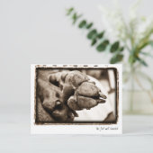 Weimaraner Nation : "足の旅" ポストカード (スタンド正面)