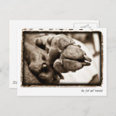 Weimaraner Nation : "足の旅" ポストカード (正面/裏面)