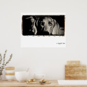 Weimaraner Nation : "A Thoughtful Stare" ポスター (キッチン)