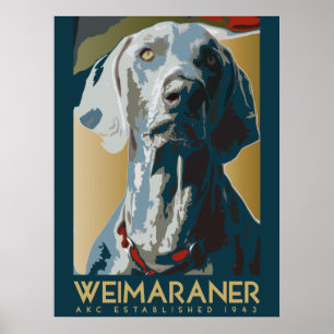 Weimaraner Nation : AKC Weimaraner ポスター