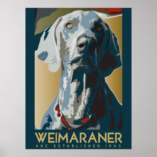 Weimaraner Nation : AKC Weimaraner ポスター (正面)