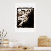 Weimaraner Nation : "Ballou's Chair" ポスター (キッチン)