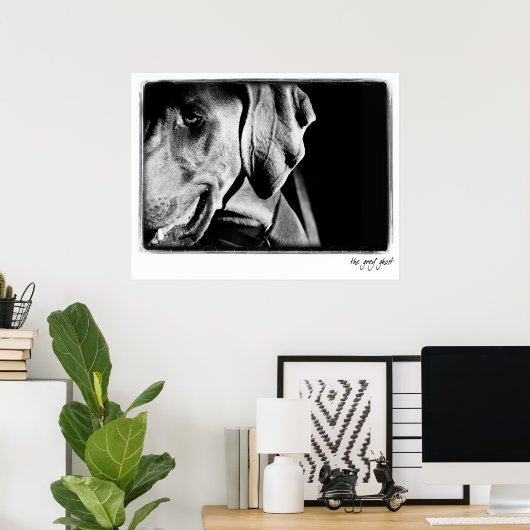 Weimaraner Nation : "The Grey Ghost" Print ポスター (ホームオフィス)