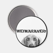Weimaraner Nation : Weimaraner In A Box! マグネット (正面/裏面)