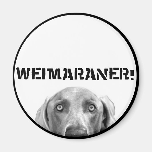 Weimaraner Nation : Weimaraner In A Box! マグネット (正面)