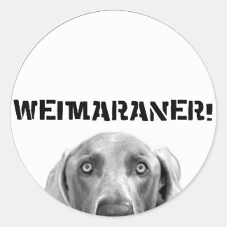 Weimaraner Nation : Weimaraner In a Box (Circle) ラウンドシール