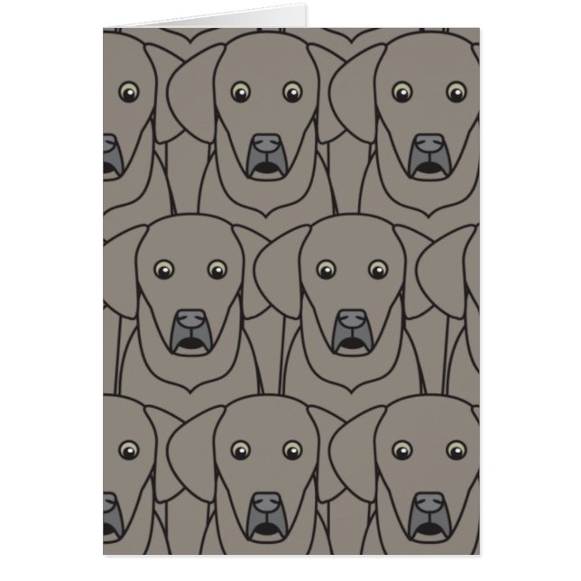 Weimaraners (正面)
