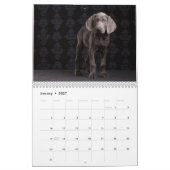 Weimaraners カレンダー (1月 2027)