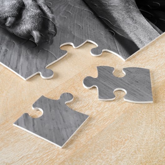 Weimaraners ジグソーパズル (側面)