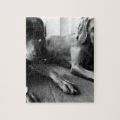 Weimaraners ジグソーパズル (縦)