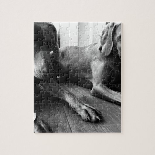 Weimaraners ジグソーパズル (縦)